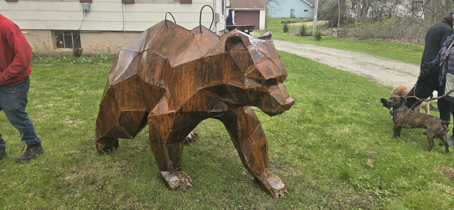 Grizzly Bear on the lawn