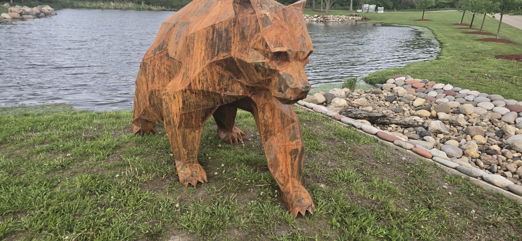 Grizzly Bear beside the pond