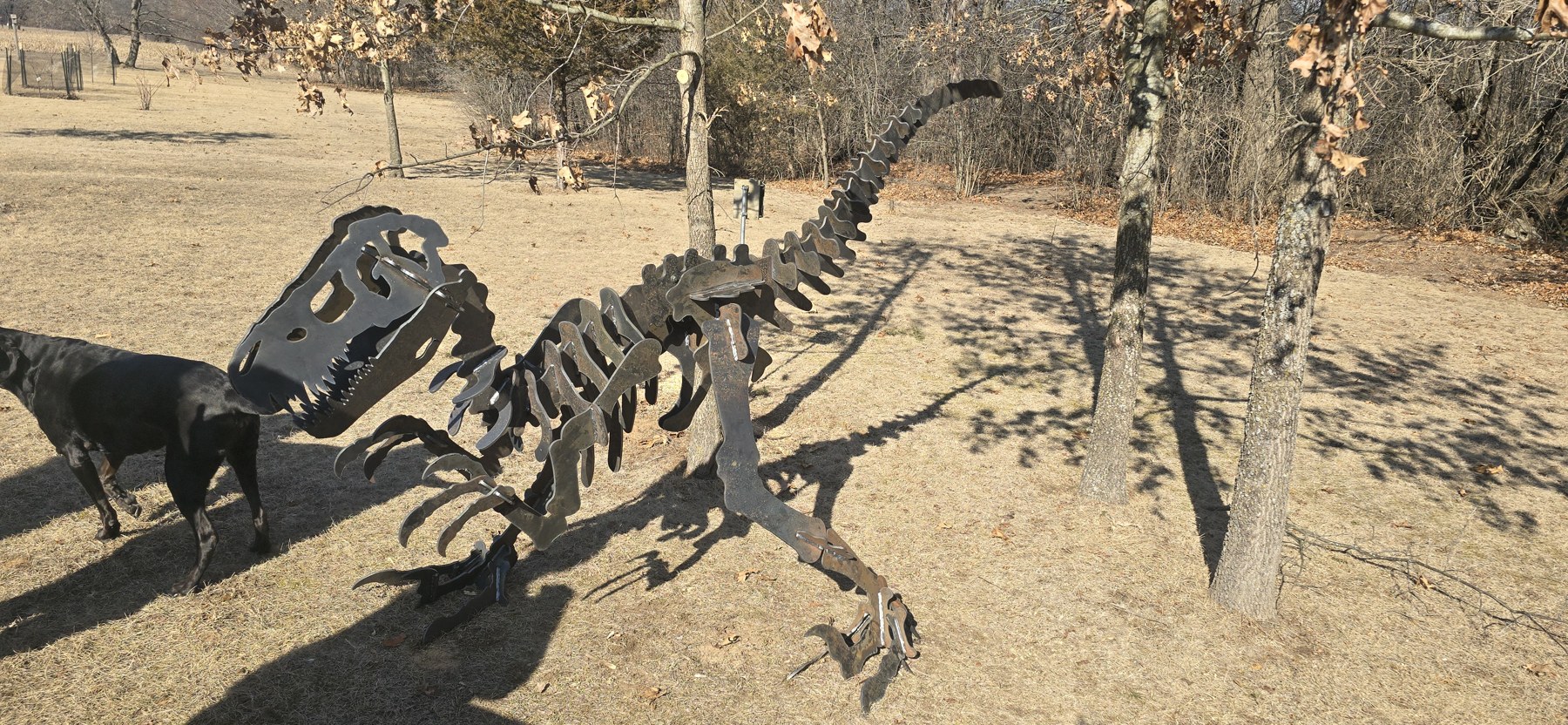 Velociraptor in the winter yard