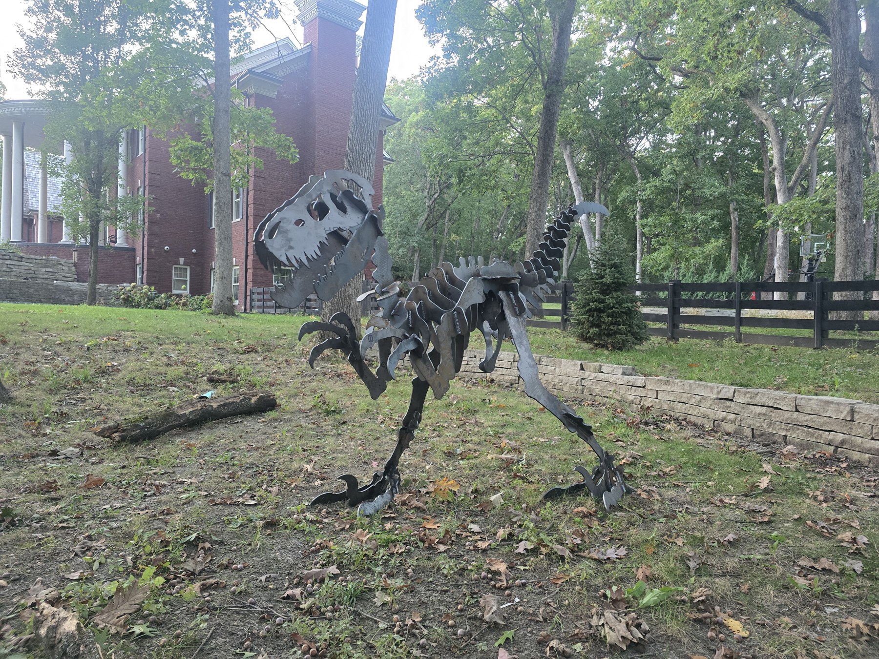 Velociraptor under the canopy