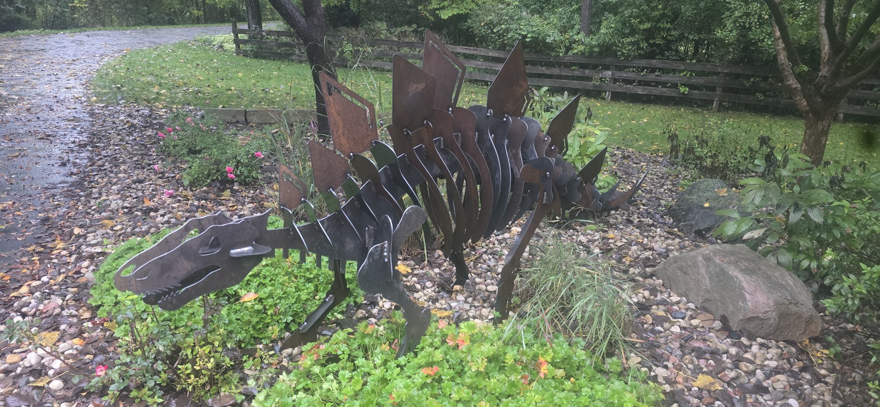 Stegosaurus - front view